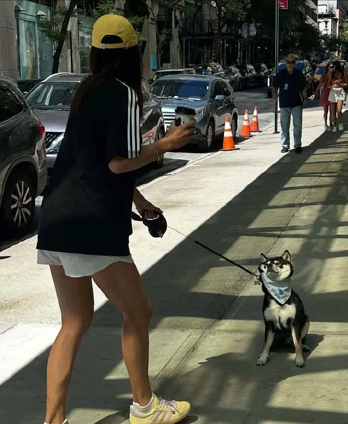 我们再来关, amp 我们再来关, amp