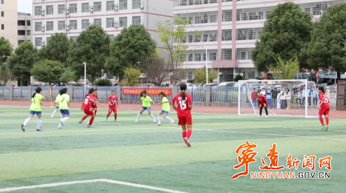 排球, bt, 为青少年健 排球, bt, 为青少年健